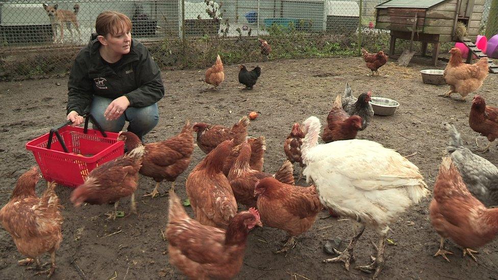 Saved from the dinner plate - this turkey really has something to celebrate this Christmas