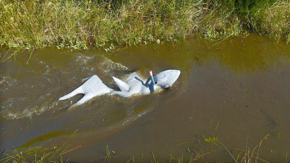 bog-snorkelling-competitor.