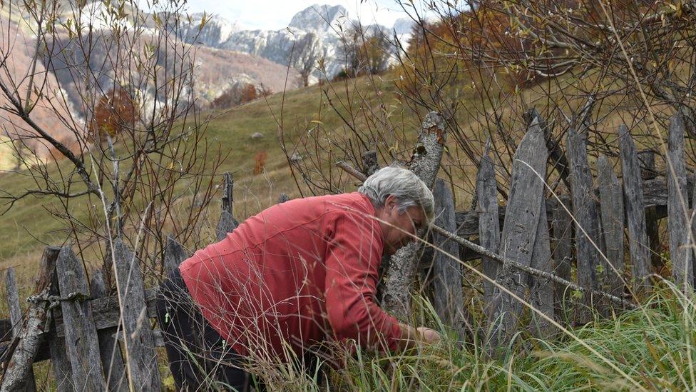 Gjystina gathering herbs on her land