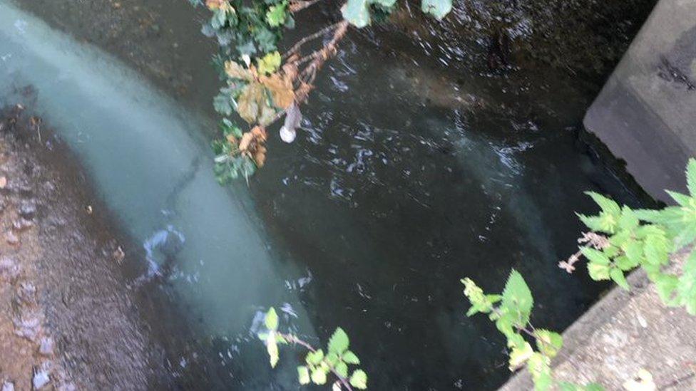 Blue Substance in river Pool