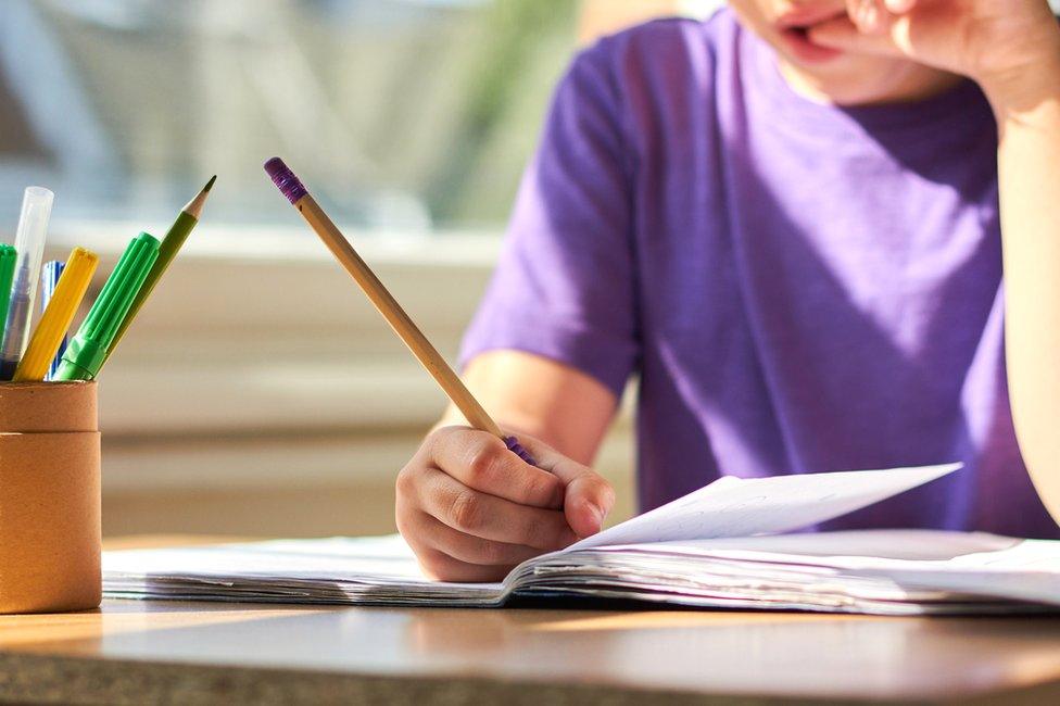 Boy studying at home