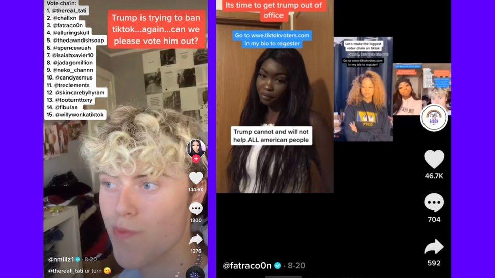 Screenshots from a TikTok 'voter chain'