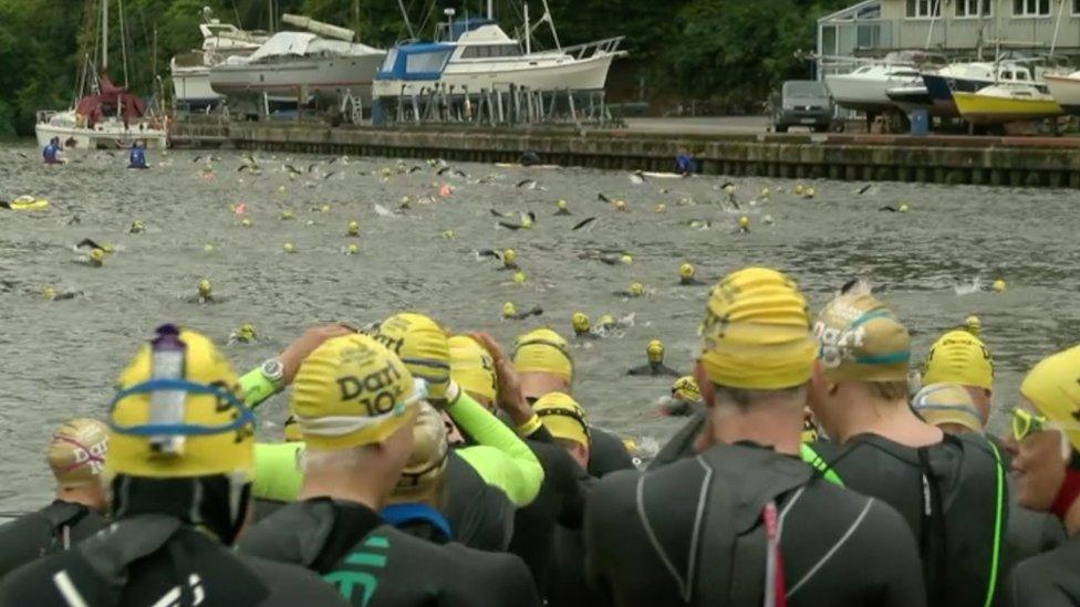 Dart10K swimmers