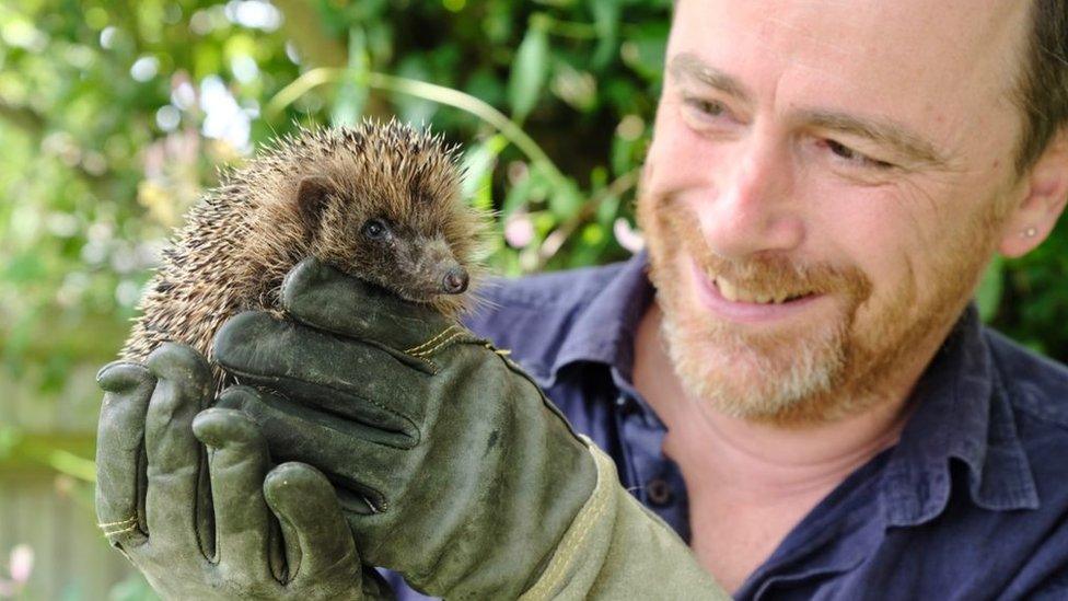 Hugh Warwick with a hedgehog