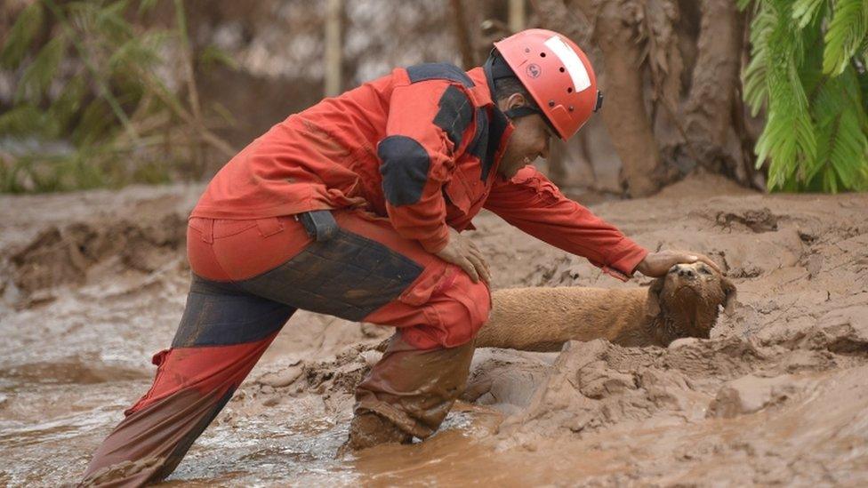 Rescue worker with dog in Paracatu de Baixo, Brazil