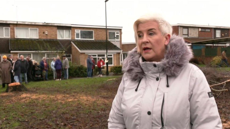 A resident standing by felled trees