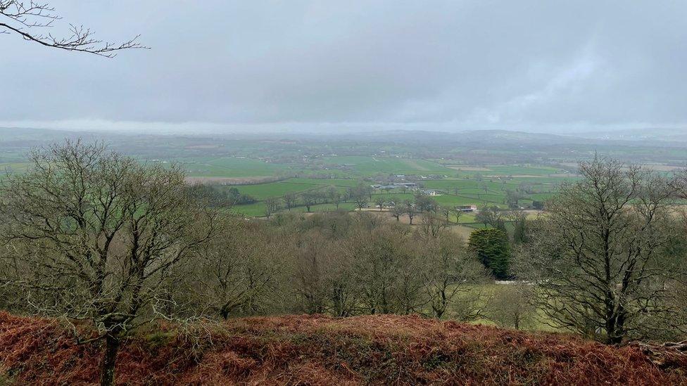 Hembury Hillfort