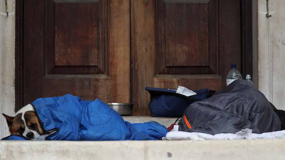 dog in a duvet with homeless owner