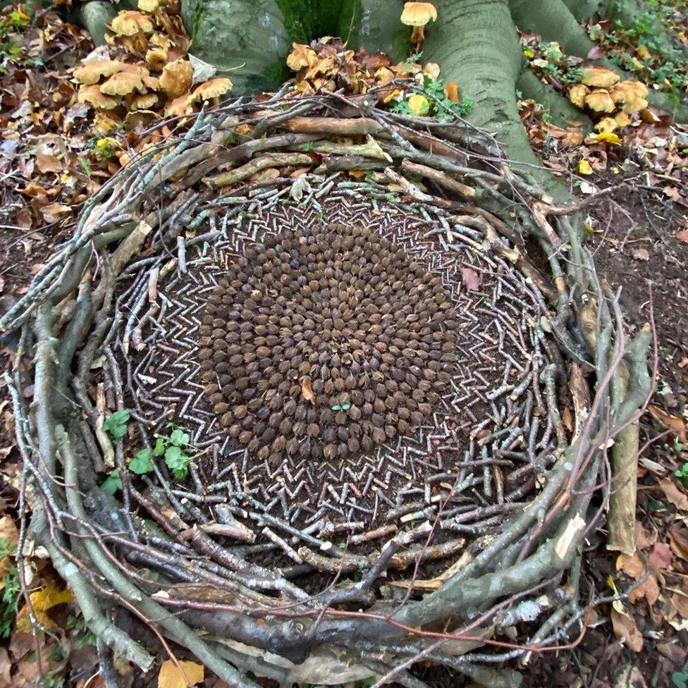 A land sculpture using natural materials including twigs