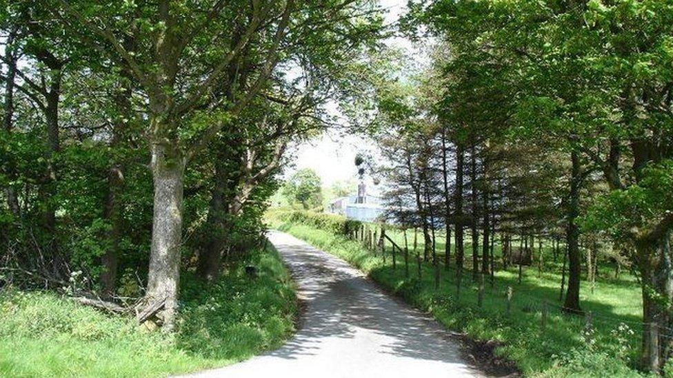 Lanes leading to forestry tracks at Cerrigydrudion, Conwy county