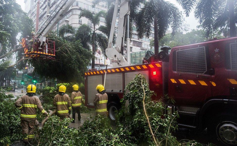 Fire fighters remove fallen trees in Hong Kong on 2 August 2016.