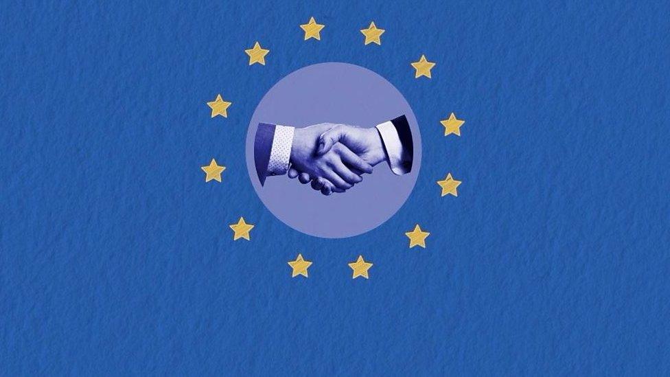 handshake inside EU flag