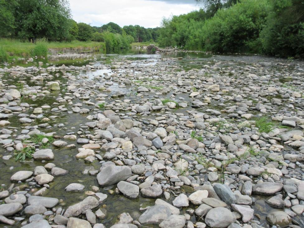 Afon Elwy yn isel