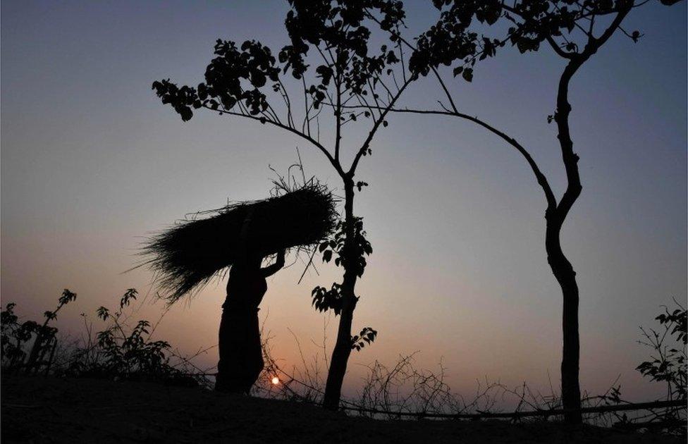 An Indian woman carries haystack on her head during sunset in Kushiyani village in Morigaon district of Assam on December 28, 2018