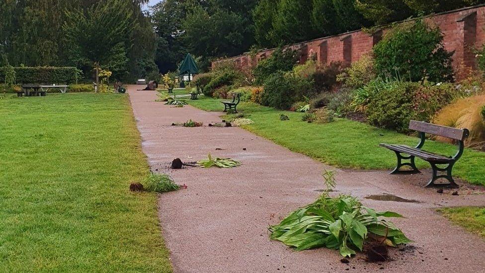 Bute Park vandalism