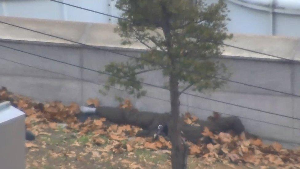 Screengrab of video clips showing North Korean soldier defecting to the South at the JSA