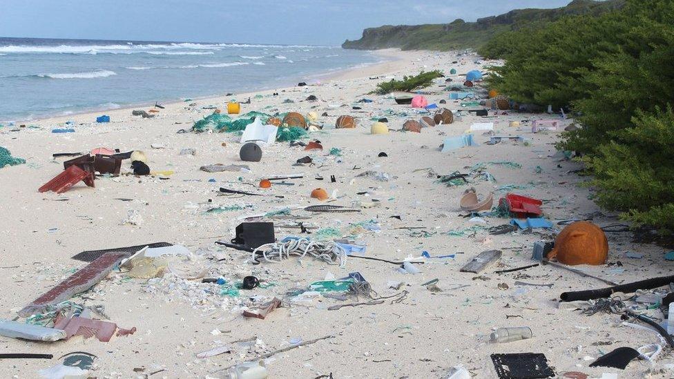 Plastic debris on East Beach, Henderson Island.