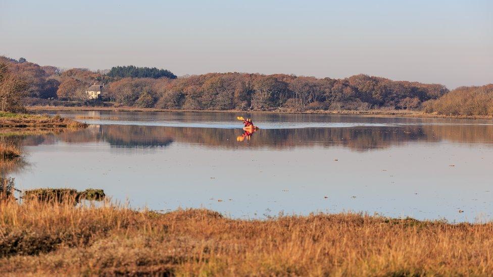 Newtown Creek, Isle of Wight