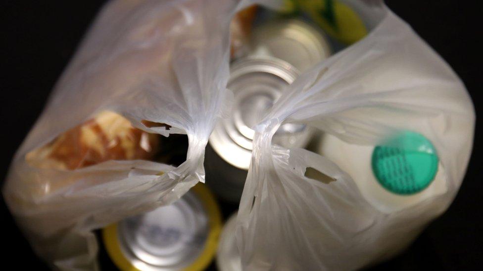 Plastic bag containing shopping