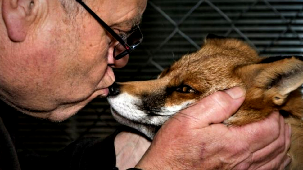 Geoff Grewcock with a rescued fox