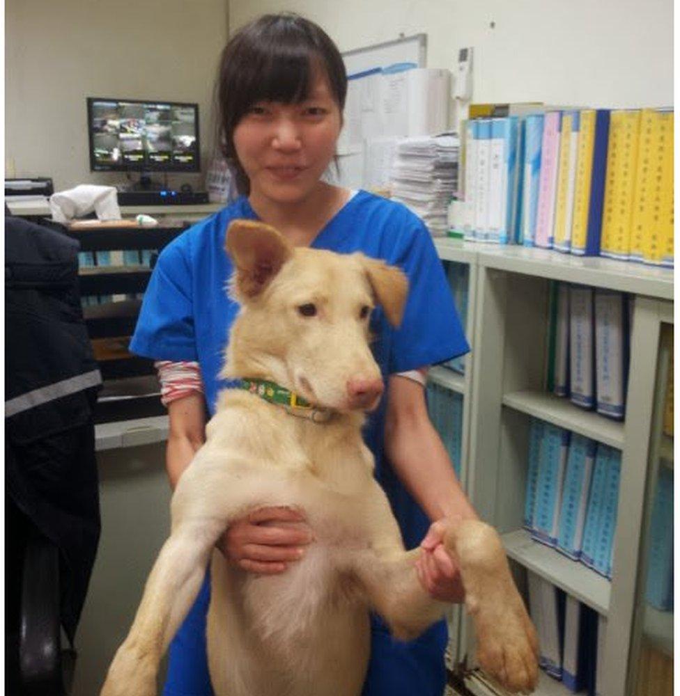 Ms Chien and her dog, Egg Yolk