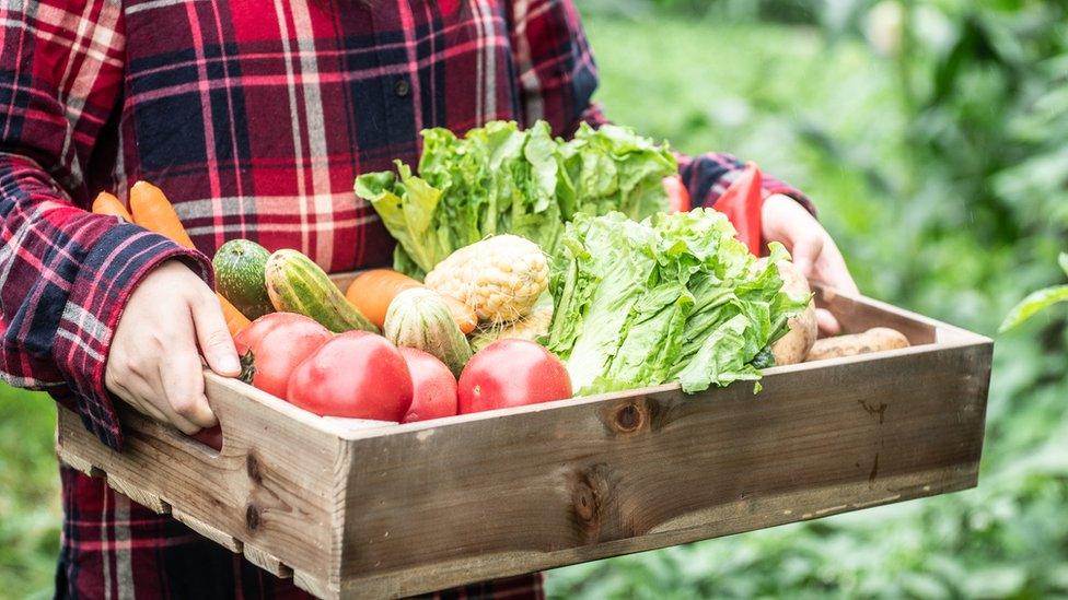 A man holds a wooden crate filled with fresh vegetables