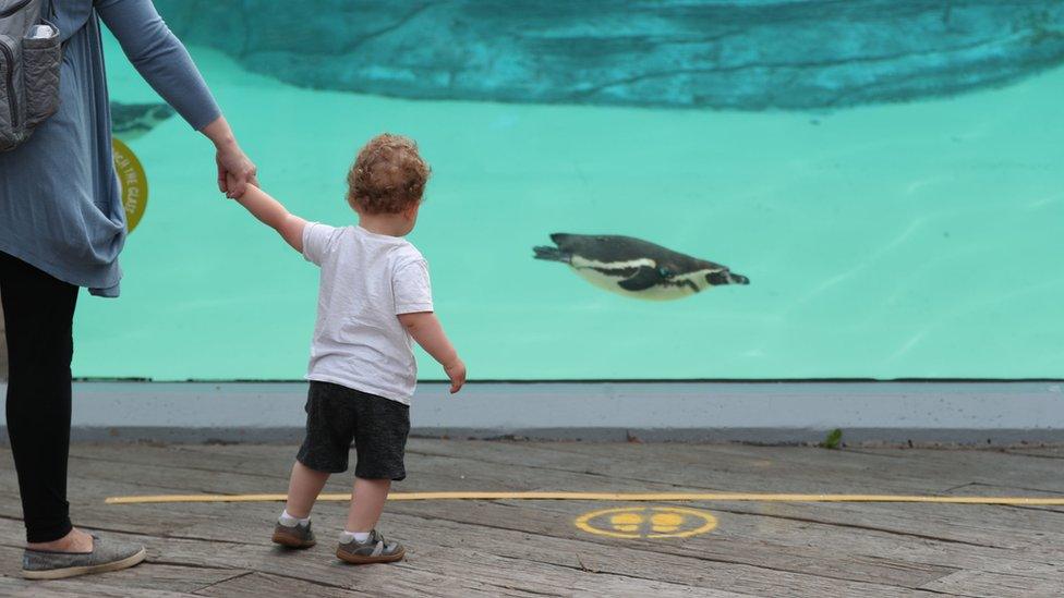 Child at Chester Zoo