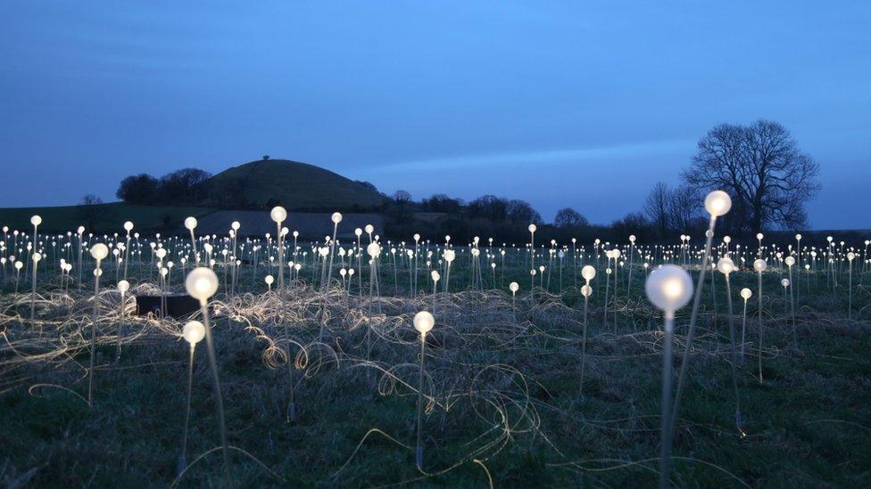 Field of Light