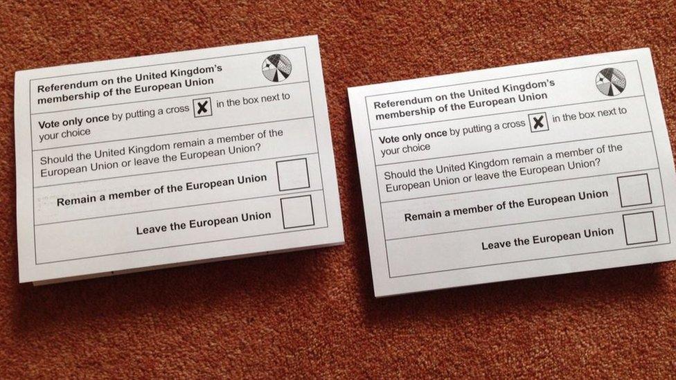 Duplicate EU referendum votes