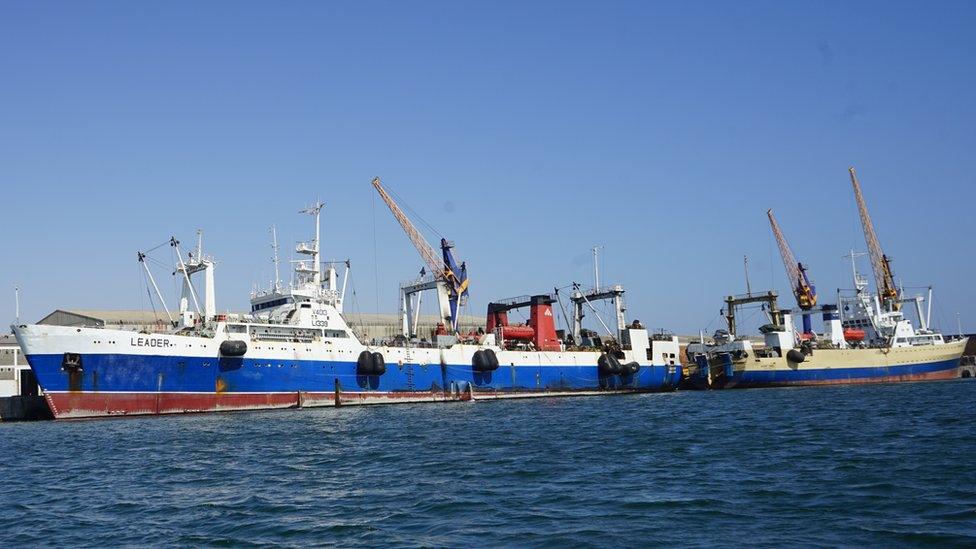 Trawlers anchored in harbour