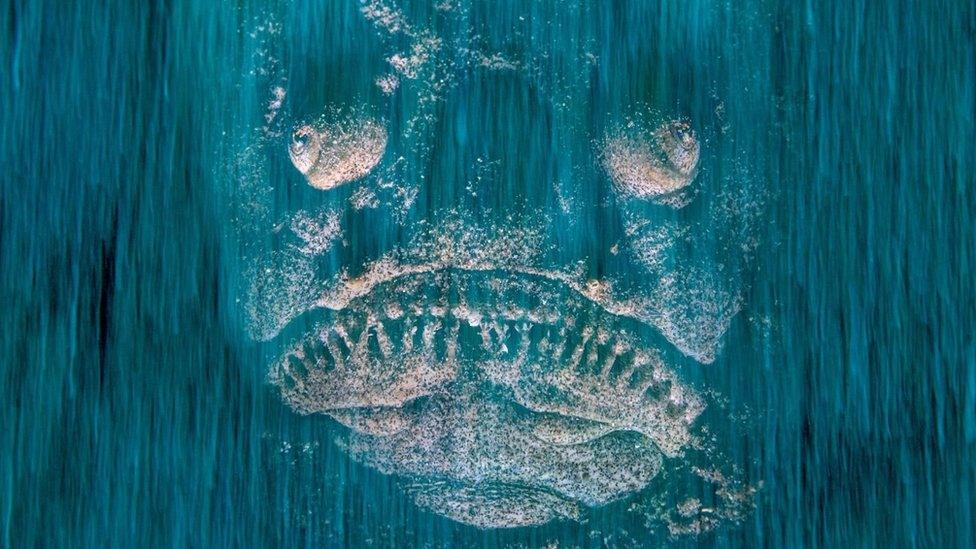 a Mediterranean stargazer peering through the sandy floor in coastal waters