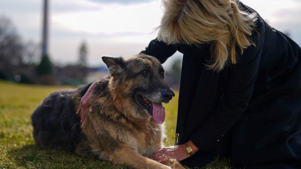 Champ pictured with Jill Biden