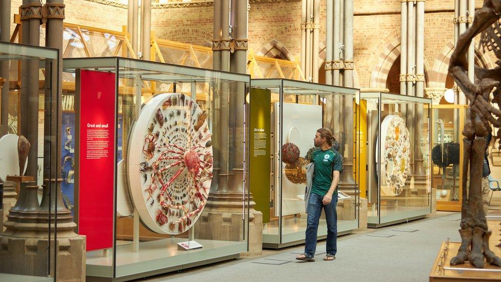 A man walking past some of the displays