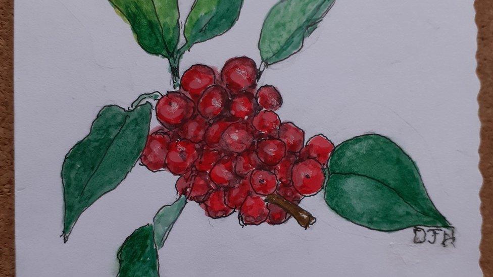 David Handford's Christmas card drawing of holly