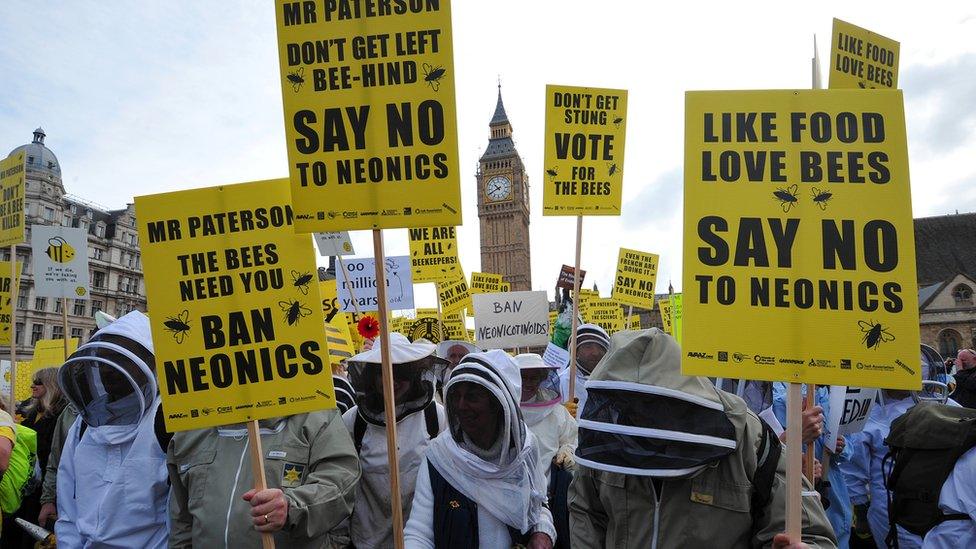 Campaigners have been fighting against the use of neonicotinoid pesticides for years.