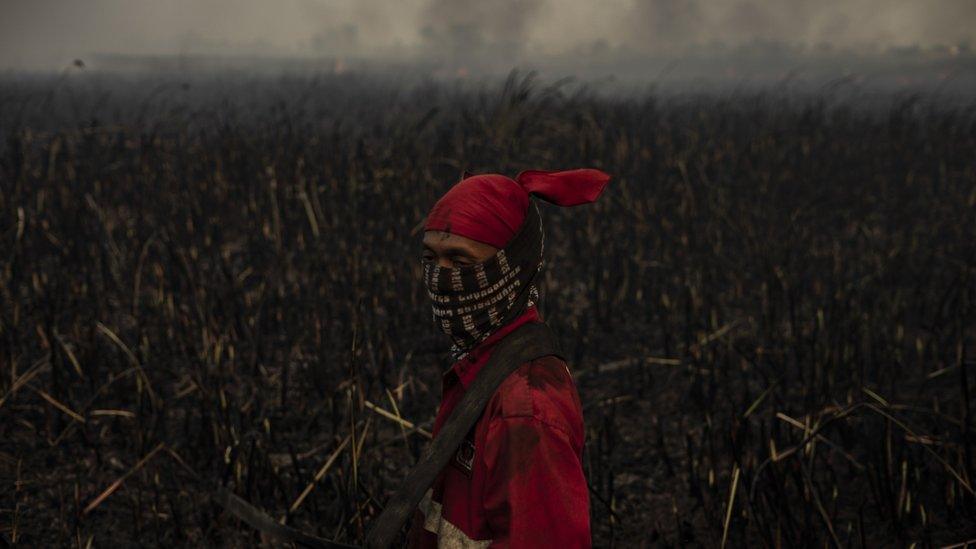 A firefighter in Ogan Ilir, South Sumatra, Indonesia