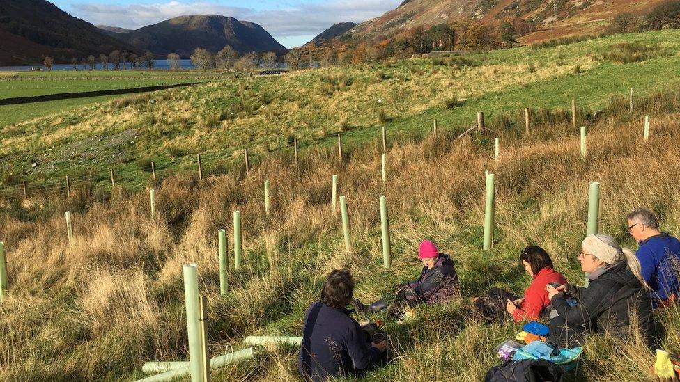 Volunteers help plant trees in the River Cocker catchment