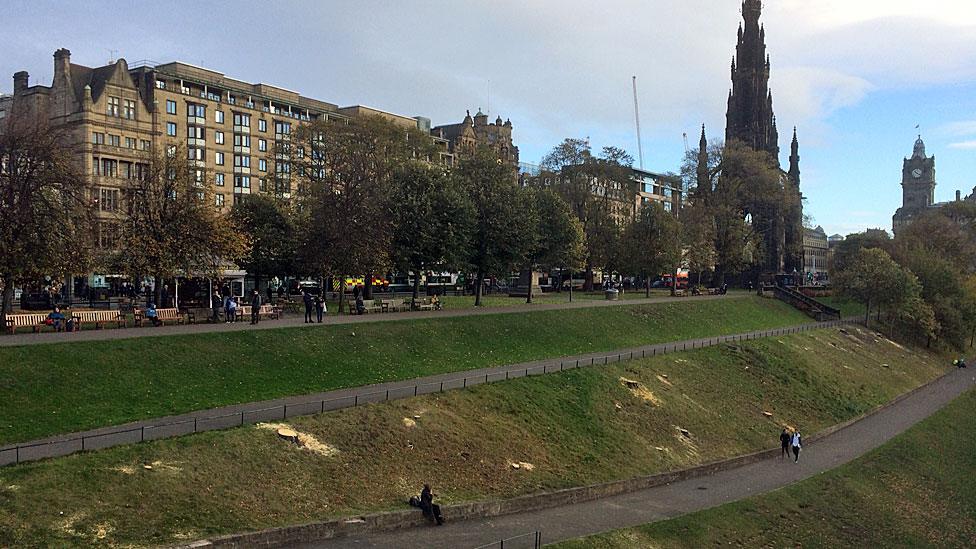 Trees cut down in park