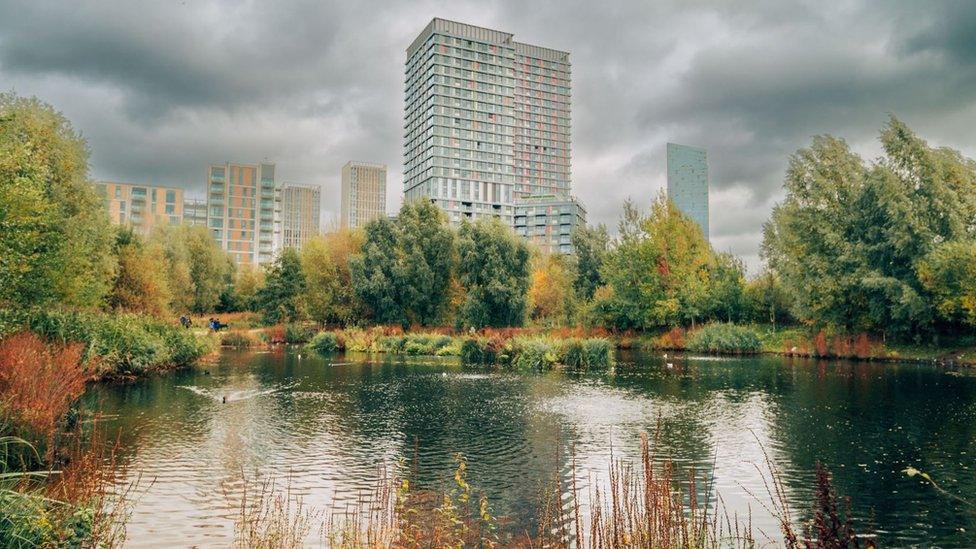 East Village wetlands