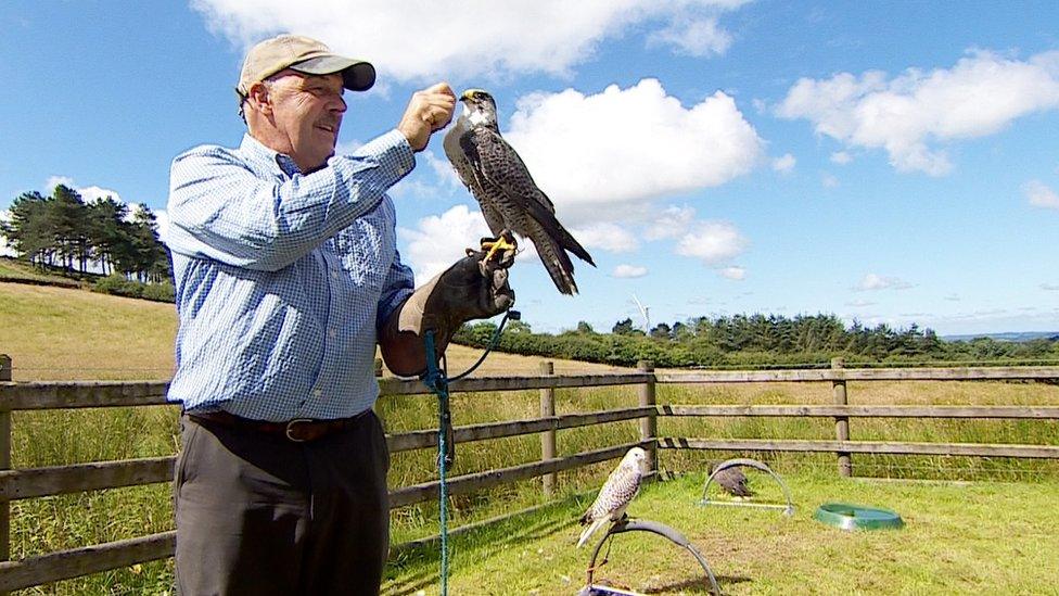 James McKay with one of his birds