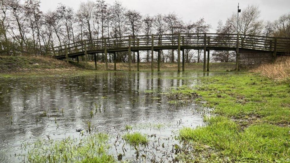 Lake and causeway at Flag Fen