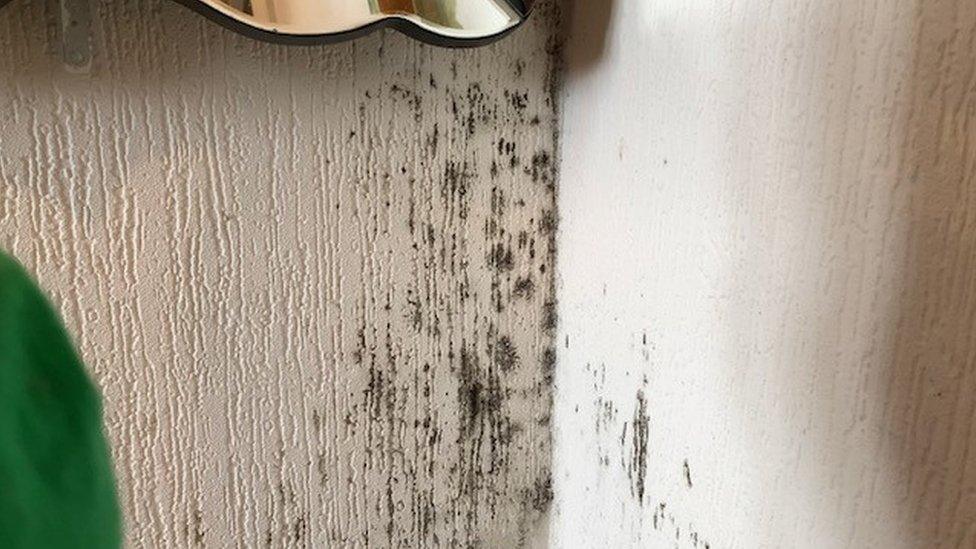 Mould on walls