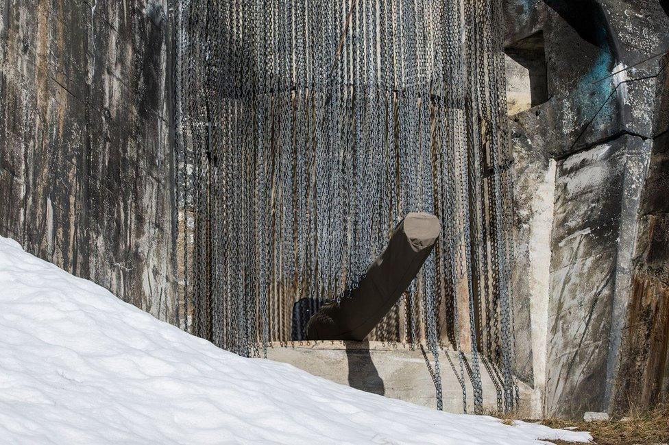 Bunker cannon in Switzerland (pic: Swiss Defence Department)