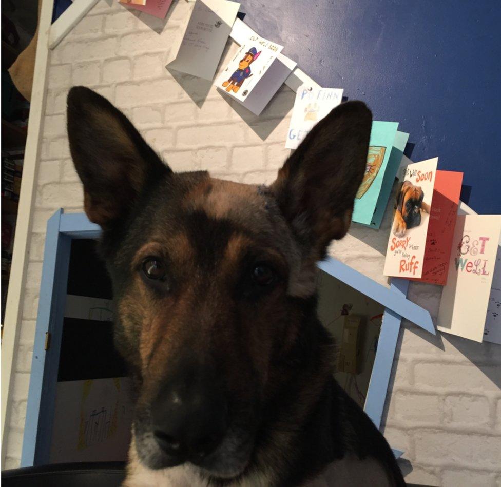 Finn with get well cards