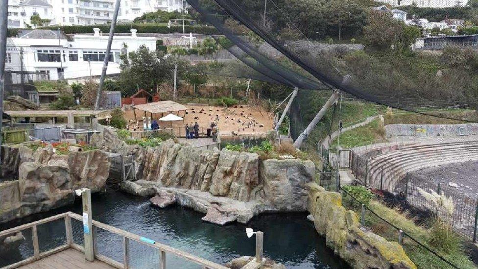 Living Coasts in Torquay