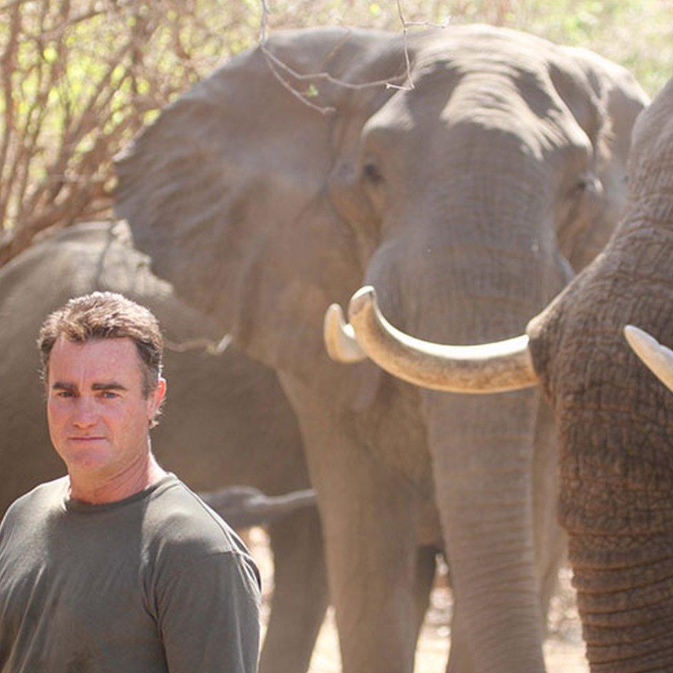 Nick Murray with elephants