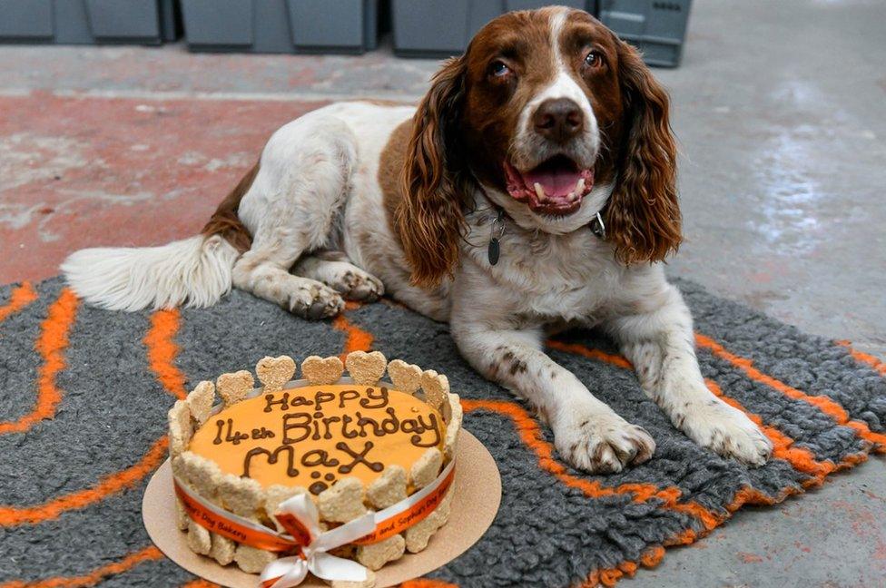 Max next to a 14th birthday cake