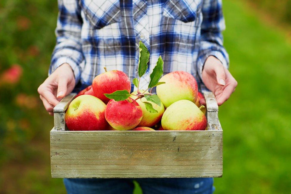 A woman holds a crate of apples