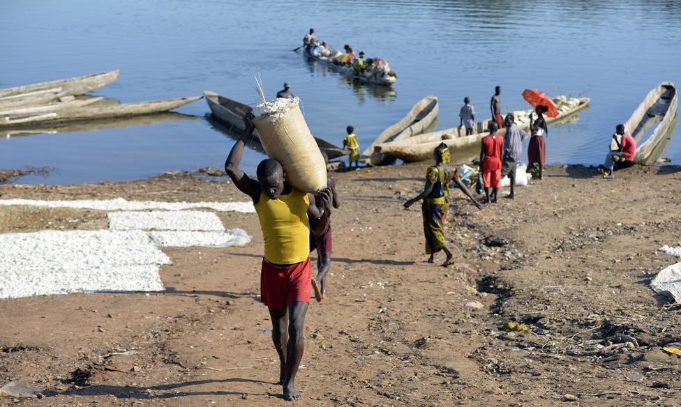 Porter taking cassava to market