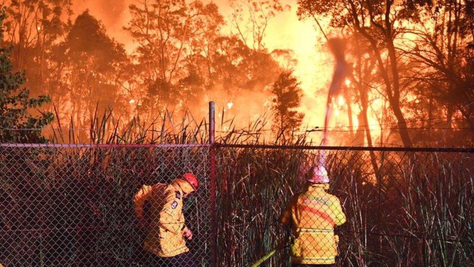 Firefighters in Sydney